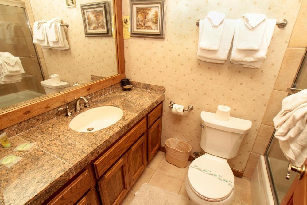 Apartment interior
